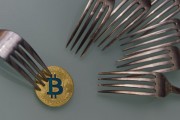 比特币有过几次硬分叉(比特币有过几次硬分叉交易)