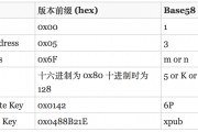 比特币病毒秘钥(比特币病毒属于什么病毒)