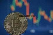 中国比特币持有(中国比特币持有量第一人现状)