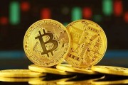 猫比特币李笑来(李笑来的比特币怎么变成现金)